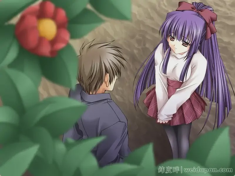 【神作ADV汉化】无颜之月 RENEWAL精翻完结+全CG存档+动画3.5G游戏中文版下载|无需安装解压即玩-绿色游戏网