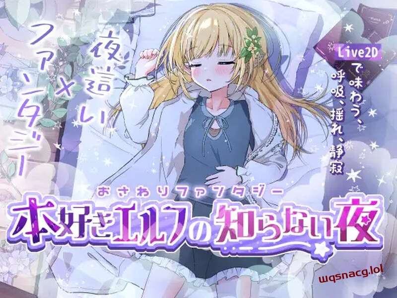 [互动SLG] 触摸幻想 喜欢书的精灵的未知之夜（おさわりファンタジー本好きエルフの知らない夜）V1.0 DL机翻游戏中文版下载|无需安装解压即玩-绿色游戏网