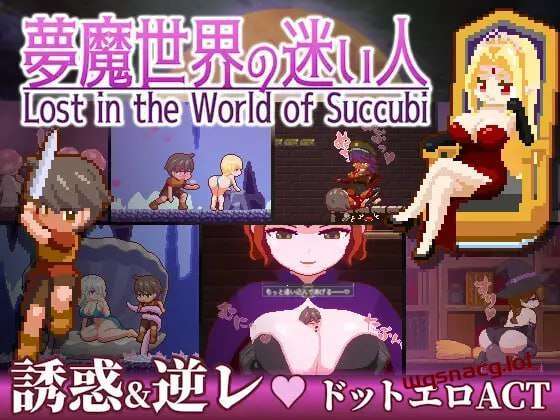 [动作ACT/像素动态] 迷失在梦境中 夢魔世界の迷い人 v1.0.1 PC+安卓 官方中文版 [1.3G]游戏中文版下载|无需安装解压即玩-绿色游戏网
