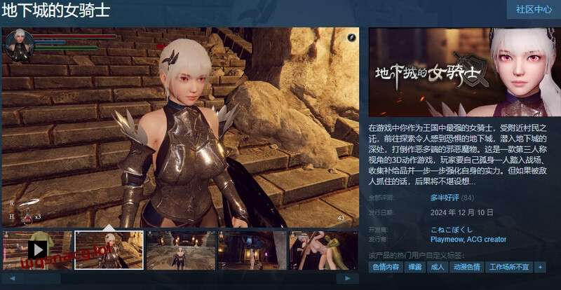 [ACT/汉化] 地下城的女骑士（地下城の女騎士）STEAM官中步兵3.4G游戏中文版下载|无需安装解压即玩-绿色游戏网